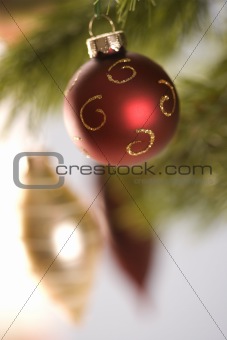 Christmas ornaments hanging from branch.