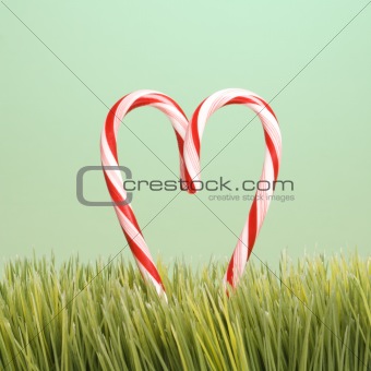 Two candy canes in grass.