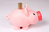 Piggy bank with tower of coins