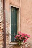 Window with closed shutters and geranium flowers in Venice, Ital