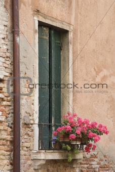 Window with closed shutters and geranium flowers in Venice, Ital