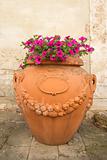 Clay pot with flowers on sidewalk in Venice, Italy.