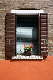 Red geraniums on window sill.