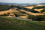 Rolling hills and countryside in Tuscany, Italy.