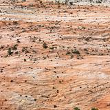 Desert landscape in Zion National Park, Utah.