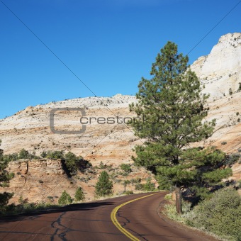Road along desert cliffs in Zion National Park, Utah.