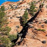 Desert cliff in Zion National Park, Utah.