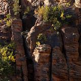 Rocky cliffs in Zion National Park, Utah.