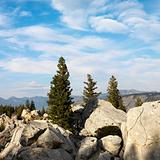 Boulders with evergreen trees in Wyoming.