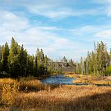 Yellowstone Park