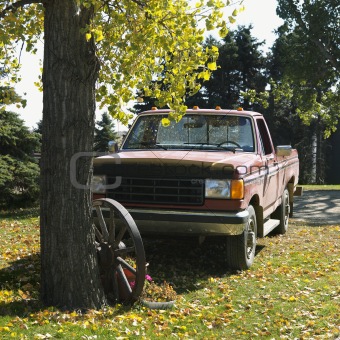 Old pick-up truck parked in yard.