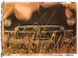 Polaroid transfer of old antique car in field.