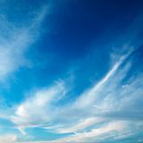 Cirrus clouds in blue sky.