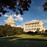 Capitol Building in Washington, DC, USA.