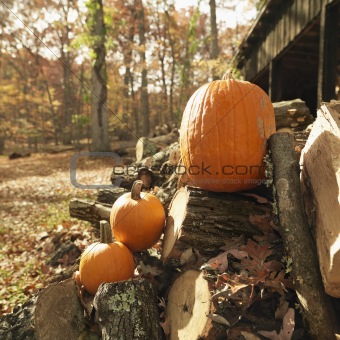 Pumpkins and firewood.
