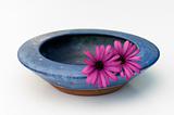 Bowl and flowers