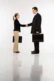 Businessman and woman shaking hands.