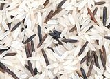 Long grain rice macro background