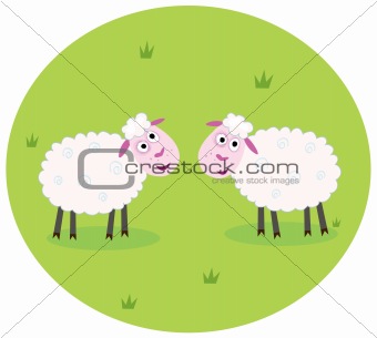 Two white sheep