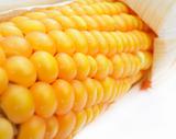 detail of a corn