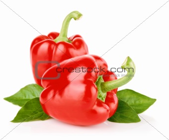 peppers fruit with green leaves