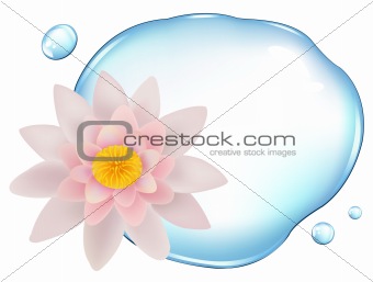 Lotus Over Water 