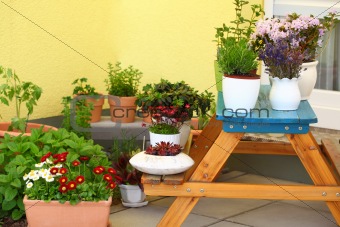 Terrace or roof gardening