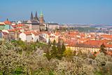 prague - view of hradcany castle and st. vitus cathedral in spring