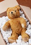Teddy bear transport