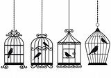 vintage birdcages with birds