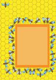 bee& honeycombs