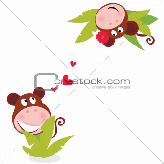 Monkey male and female in love looking each at other behind palm leaves