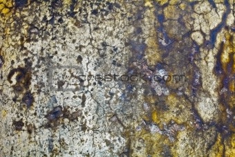 Moldy wall of old building - background