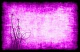 Purple Grunge Background Floral