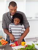 Attentive father helping his son cut vegetables