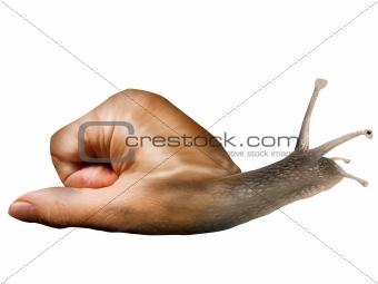 Isolated surreal snail