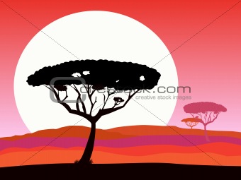 Retro holiday red background with sunset and palm silhouette