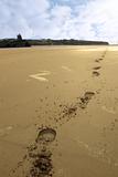 ballybunion beach hoofprints