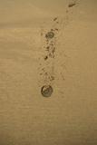 ballybunion beach sand hoofprints