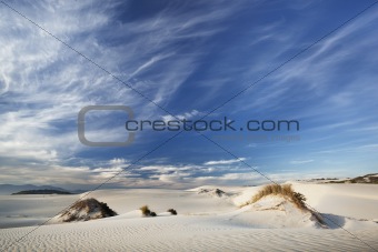 Dune Skys