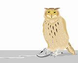owl with mouse