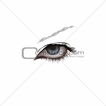 The left human eye.Vector illustration