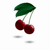 Two ripe cherries. Vector illustration