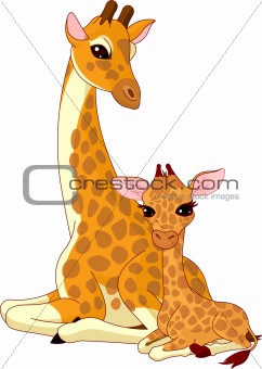 Mother-giraffe and baby-giraffe