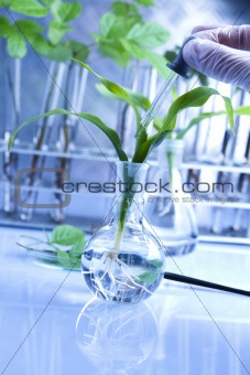 Experimenting with flora in laboratory