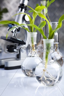 Experimenting with flora in laboratory