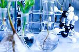 Plants  and laboratory