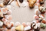 Sands, messages, shells and best from holidays