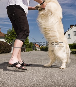 Woman dancing with a dog