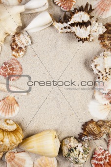 Messages between sands and shells